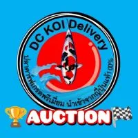 ⛩️DC KOI Auction🇯🇵🏆