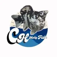 CH Molly Fish (พูดคุย - ข่าวสาร)
