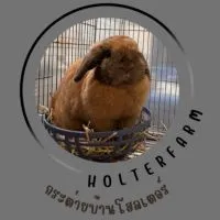 กระต่ายบ้านโฮลเตอร์🐰
