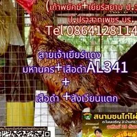 ป.ปราสาทเพชร บุรีรัมย์ Line ID;yotrakarn/0864128114