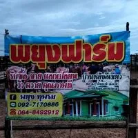 พยุงฟาร์ม_บ้านเขียว
