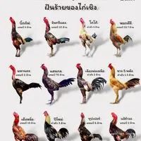 ซุ้ม โอรสราชสีห์