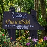 หมู่ 8 นาบ้านไร่