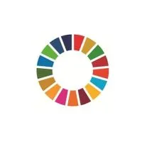 SDG Local Network