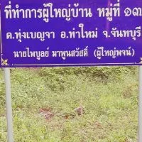 ข่าวสารผู้ใหญ่พจน์