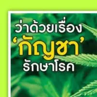 น้ำมันกัญชารักษาโรค