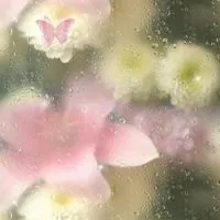 . 🌸 ৎ 𓈒 กลุ่มแจกคลิปซีรีย์จีน  𝒷  𝐵𝑦. 𝑆𝑢𝑛𝑖𝑛𝑔 𝐻𝑢𝑖  ೇ ■