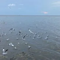 💜💜💜💜ห้องแชร์ลิ้งค์  คุยกัน ฟังเพลง💜💜💜 💋🍑