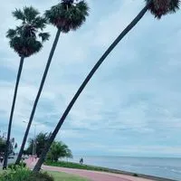 ส้ม สิริ สินค้าตามกระแส