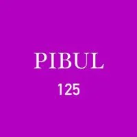 Pibul 125 🌐