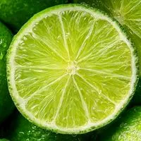 ข่าวสด ข่าวด่วน  ข่าวเด่นรอบวัน