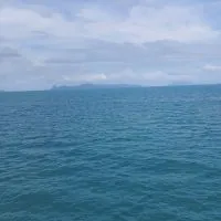 แพทย์แผนไทย