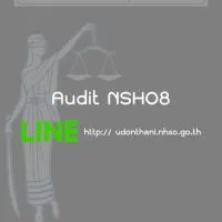 Audit  NHSO 8