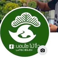 บอนไซไม้จิ๋ว