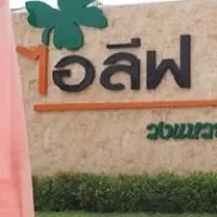 กลุ่มขาย ไอลีฟ คลองสี่ กลุ่มใหม่