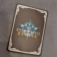 Shadowverse Evolve Cafe