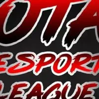 Ota E-Sport League