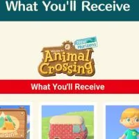 Animal Crossing
