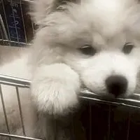 🌕คุยเล่น/หาเพื่อน/หาแฟน/คุยเล่น🌕