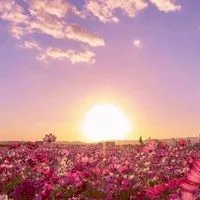 30+40+50++เพื่อนคุยยามเหงา..มิตรภาพ..วัยทำงาน🌹