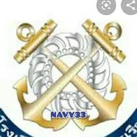 NAVY 33