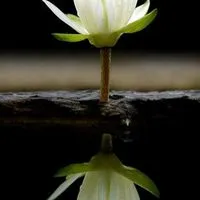 รวมเพื่อน40+ แบ่งปันคติธรรม คำคม สนทนาแนวทางธรรม