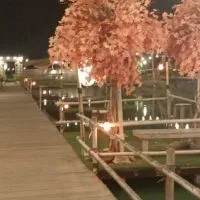 โพนทราย ThaiD