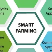 ออกแบบติดตั้งระบบ Smart security & Smart farming