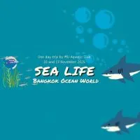 SEA LIFE aquarium sat 16/11/67