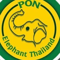 Office PonElephantThailand