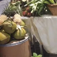 ตลาดนัดเกษตรอินทรีย์ วิถีเมืองถลาง
