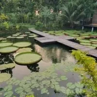 โคกหนองนา/ขุดสระ/ถมที่/เช่ารถทุกชนิด