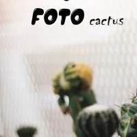 Natty Foto Cactus