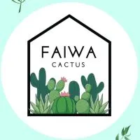 FaiwaCactus