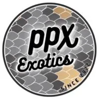 Exotics club สอบถาม/อวดน้อนงู้ยยย