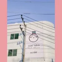 roundcarrot2- roundradish