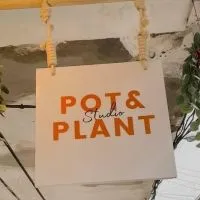 POT&PLANT - ตัวแทนจำหน่ายต้นไม้และกระถาง