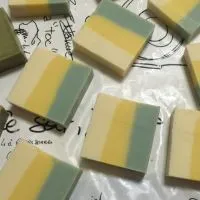 TerraSoap