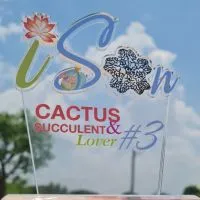 Isan Cactus & Succulent Lover #3