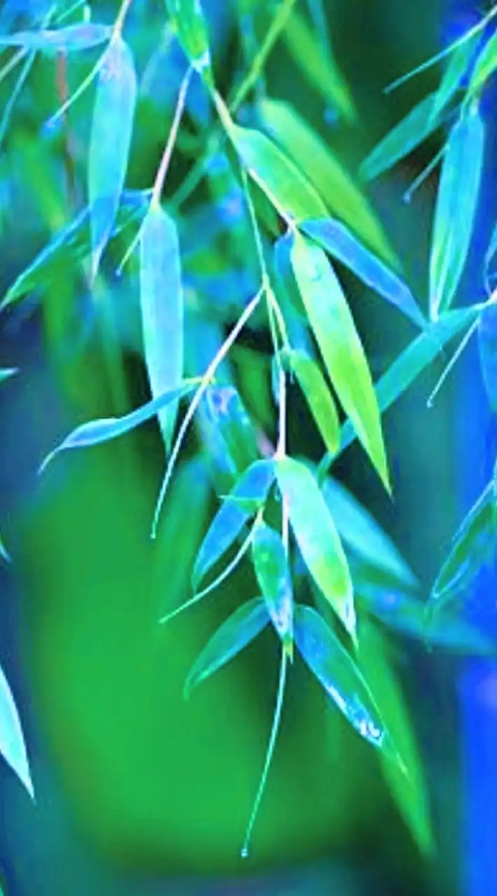 北/物業保全職缺(禁言)