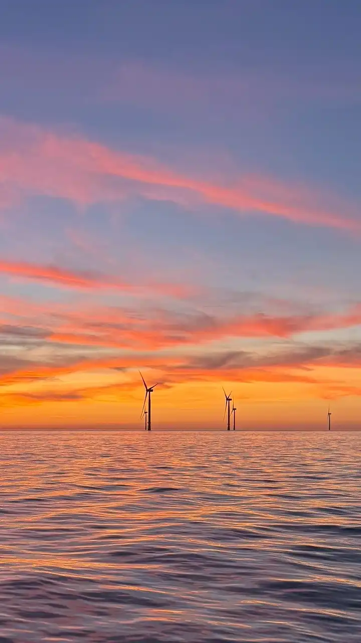 陸域離岸風電技術工作