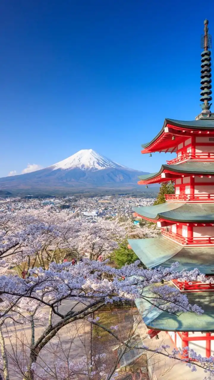 🇯🇵HH日貨進口商 日貨批發 日本代購零售