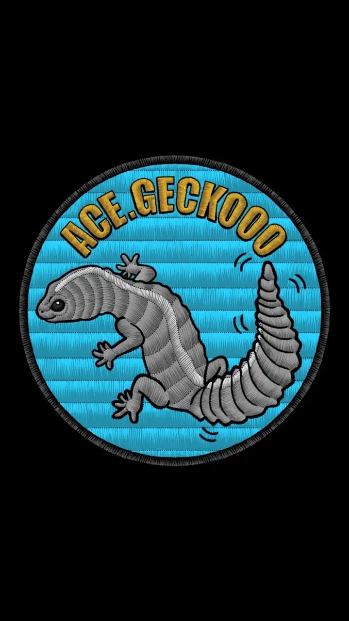 Ace.geckooo 爬蟲交流