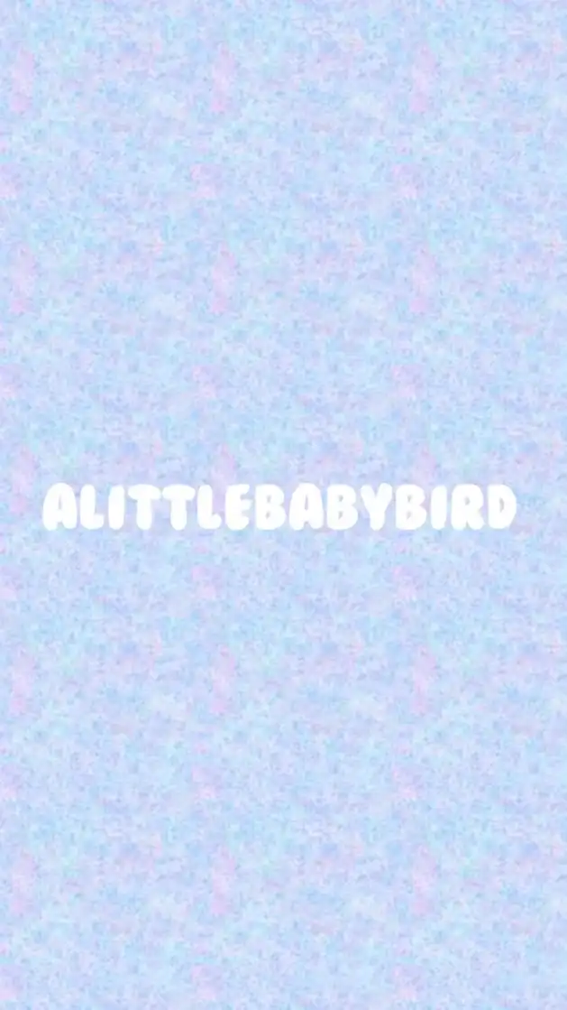 🥨alittlebabybird-Stray Kids相關代購
