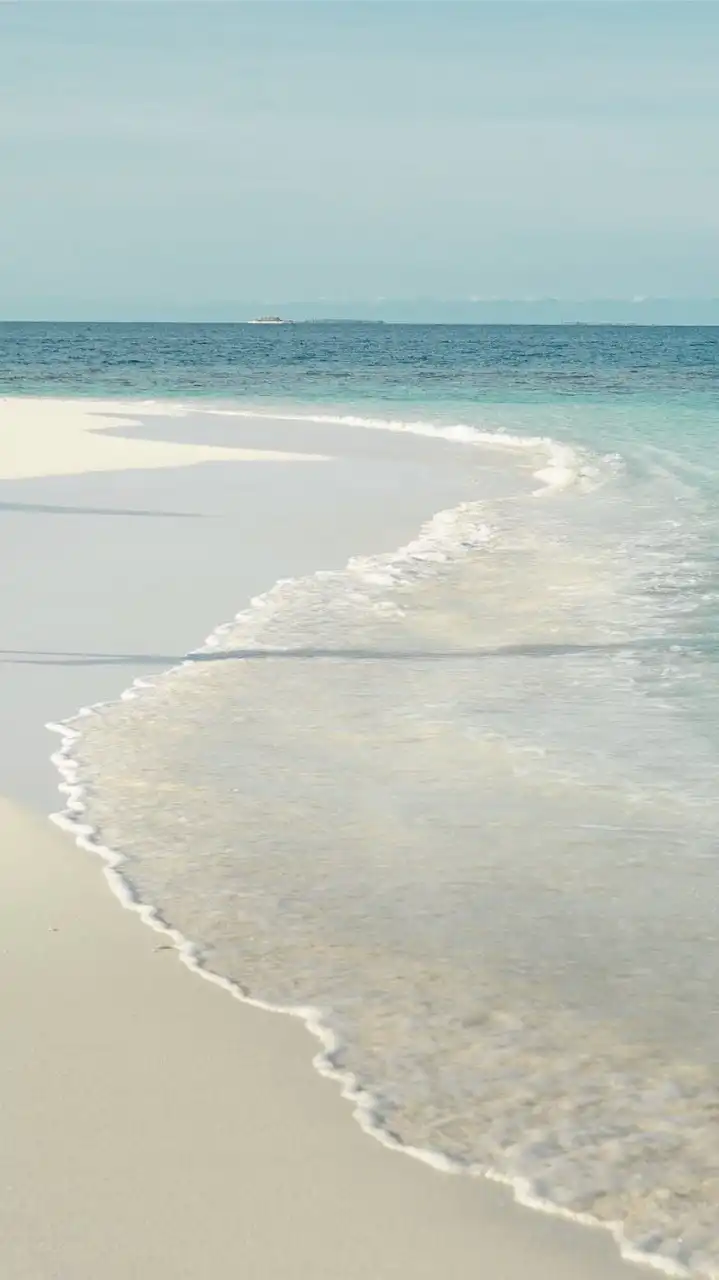 馬爾地夫渡假討論群🏝