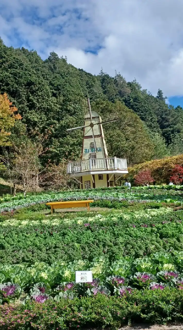 文婷旅遊社群