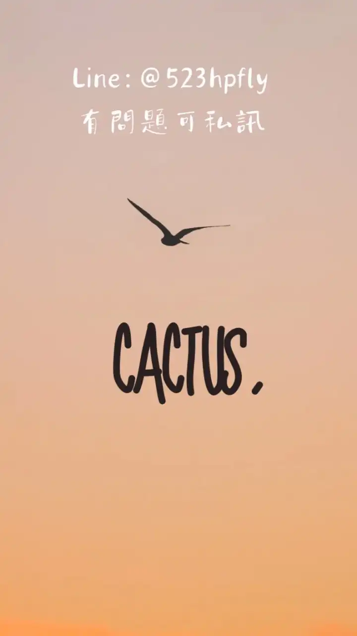 ✈️cactus｜代購小圈圈