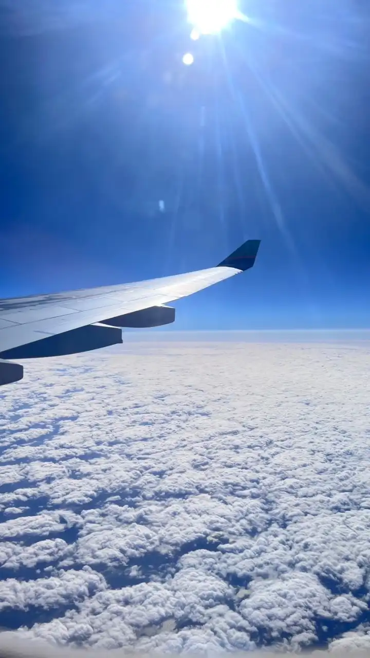 國內外旅遊❤️說走就走《找到了旅行社》