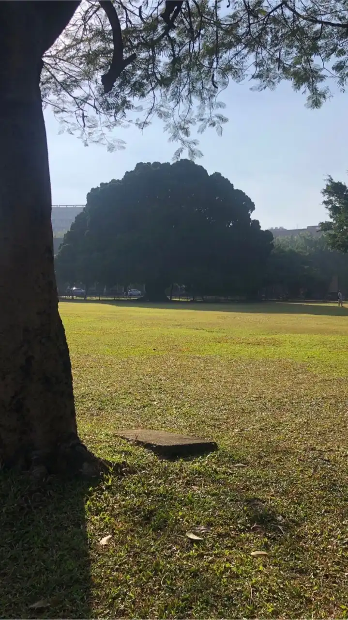 呼叫鵪鶉指揮官