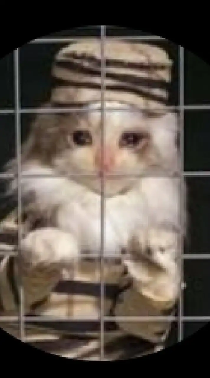 獄中生存